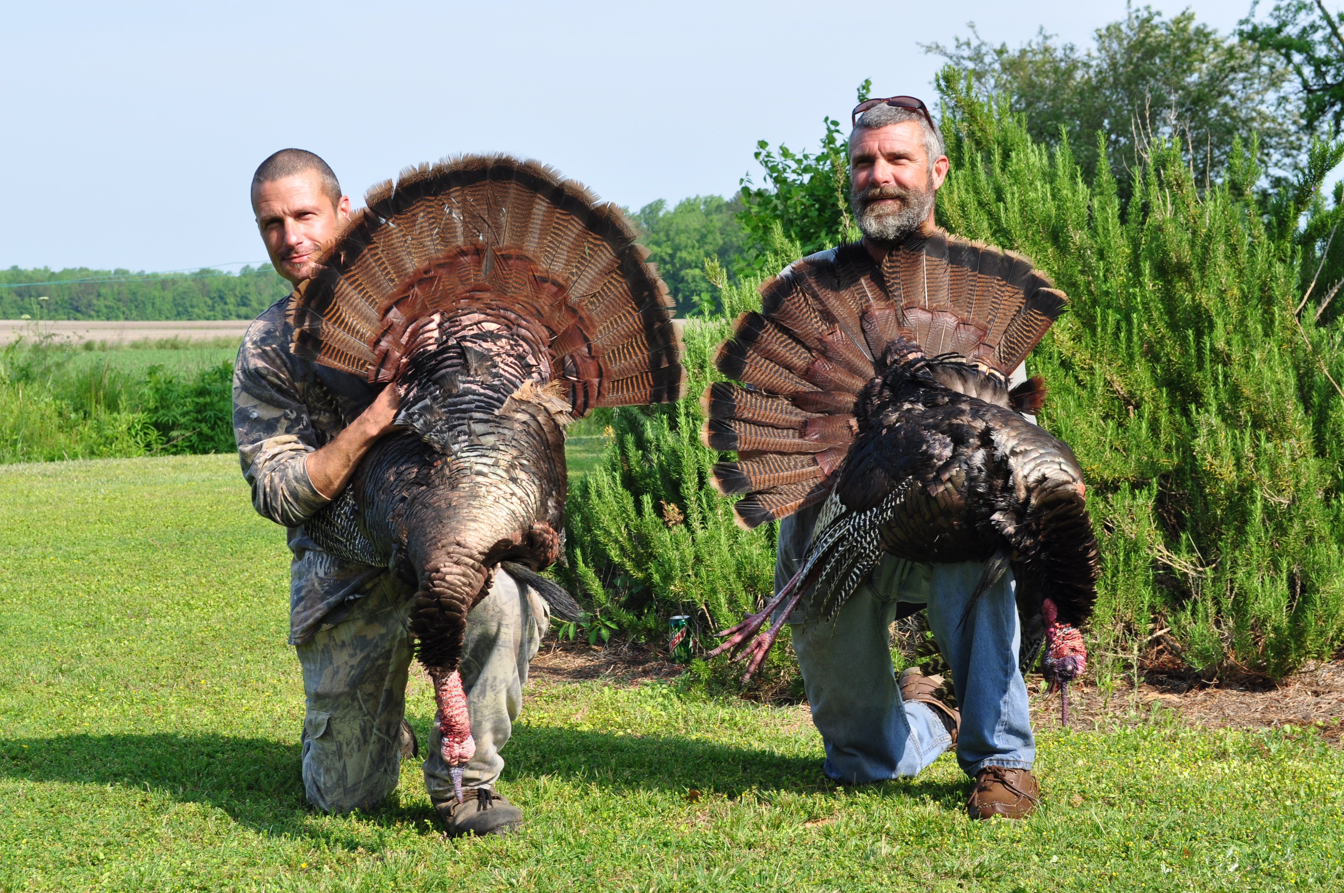 North Carolina Turkey Hunting On Sunday at Jeffery McGowan blog