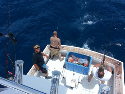 outer banks charters 
