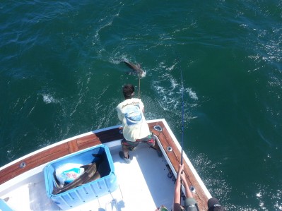 outer banks charters 